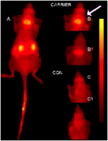 Figure 3 big